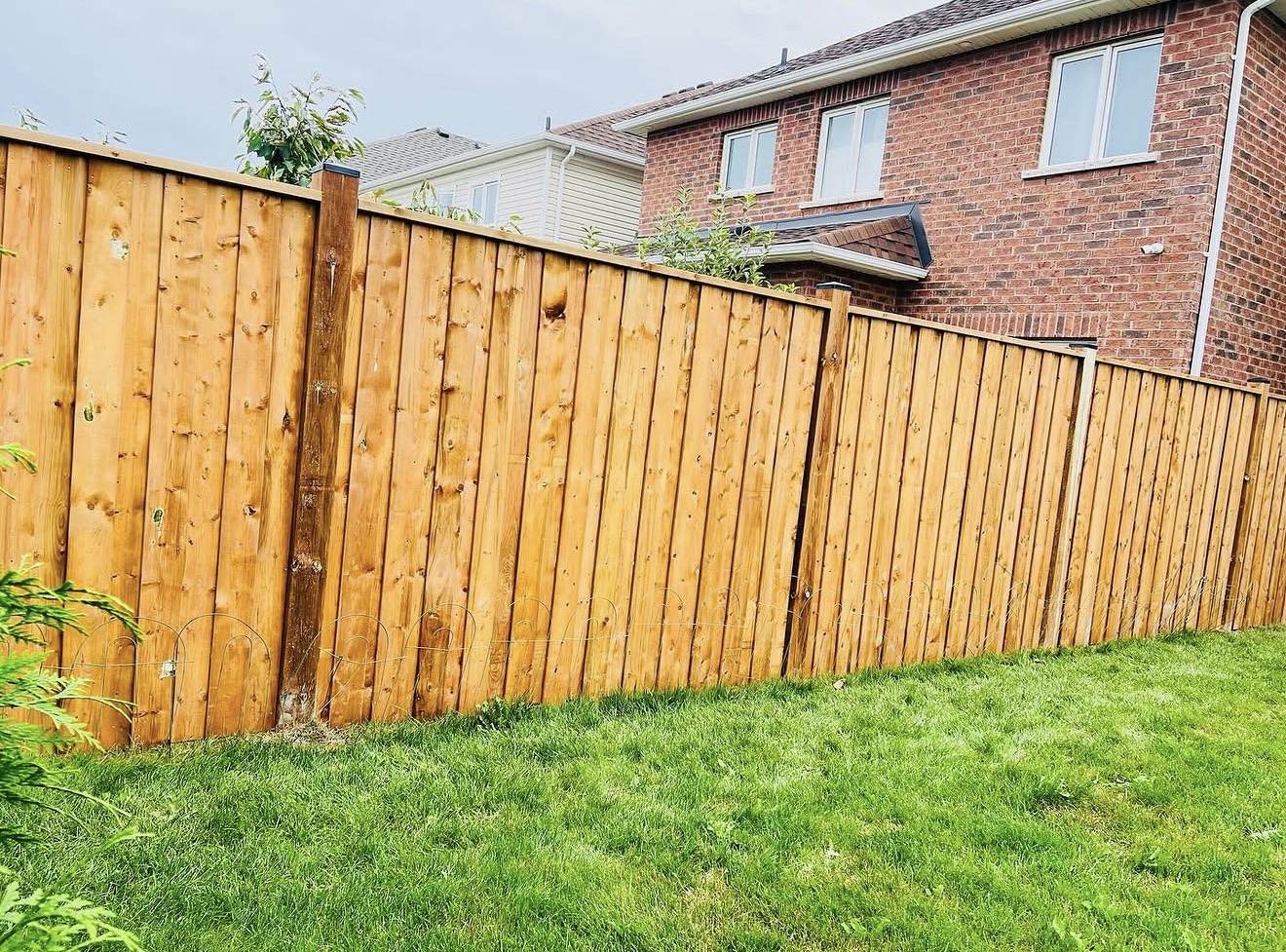 Full-height privacy fence across a green backyard