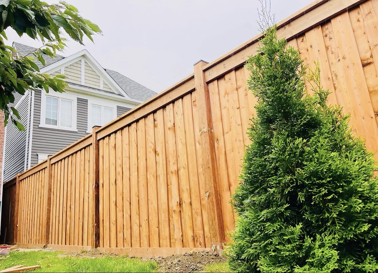 Full privacy fence with continuous top cap rails