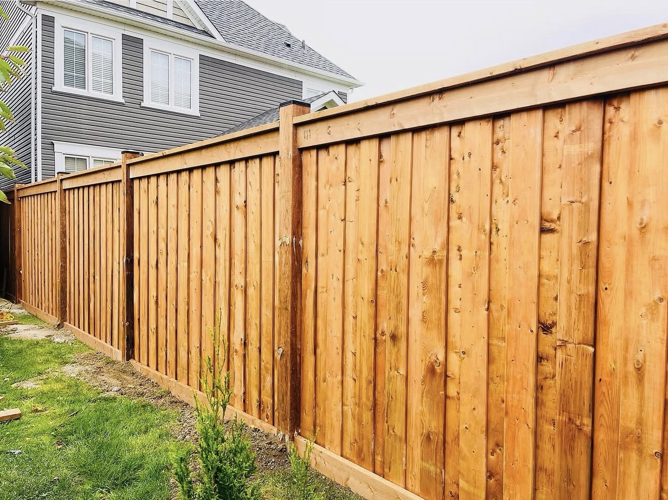 Board-on-board full privacy fence with top cap along a backyard