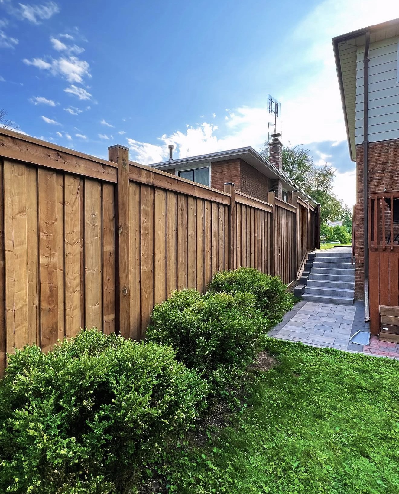 Tall full privacy fence beside shrubs and a paved walkway